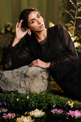 Raven Radiance-2PC (Shirt and Trouser)